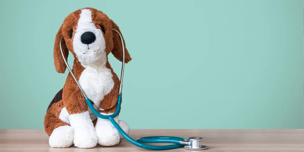 A picture of a toy dog with a stethoscope