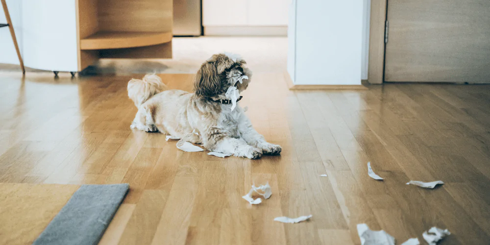 A picture of a Shih Tzu making a mess with tissue paper