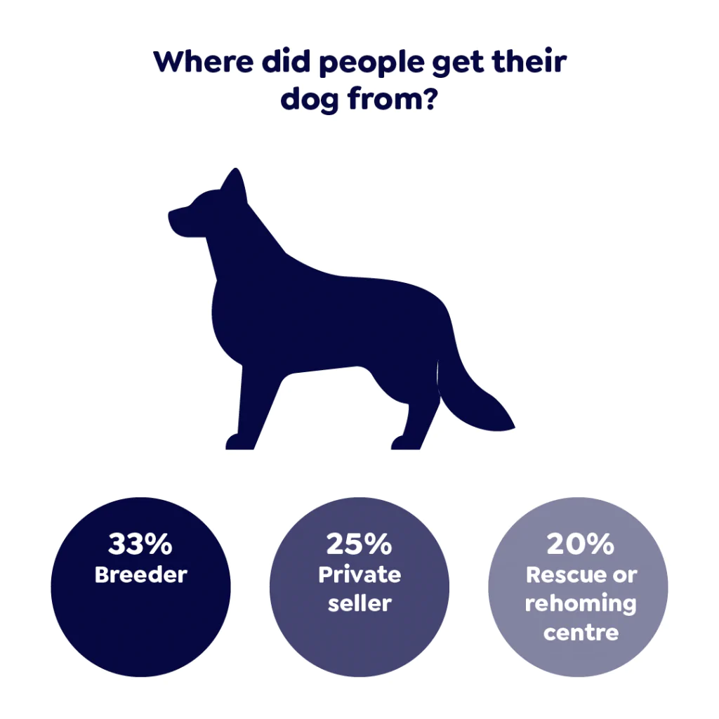 A graphic showing results of where people got their dogs from