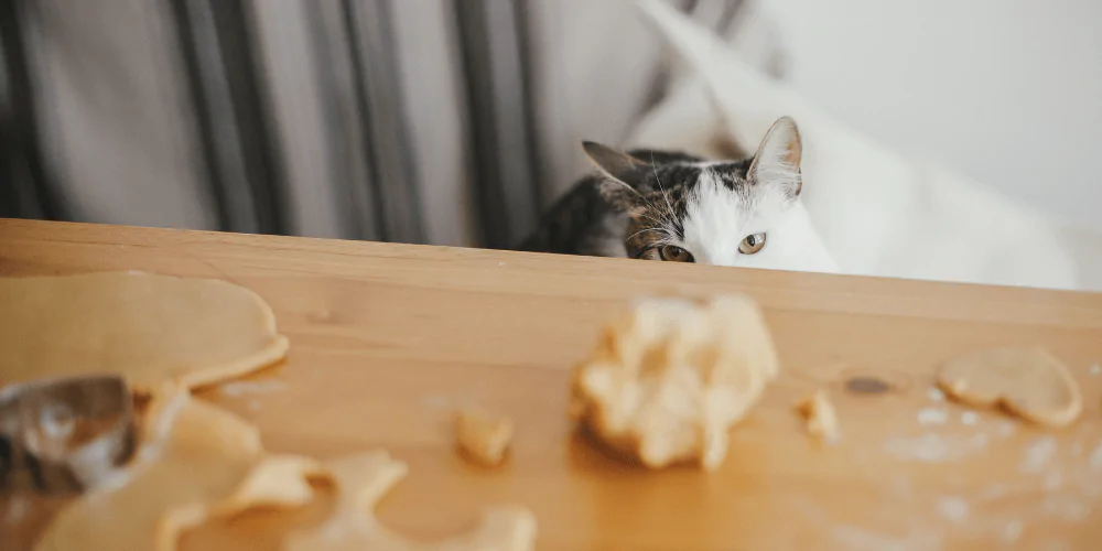 A picture of a cat looking longingly at gingerbread dough on a table